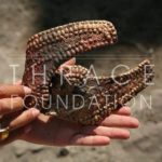 Златен нагръдник от "Якимова могила" (сн. Г. Китов)